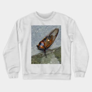 Cicada Crewneck Sweatshirt